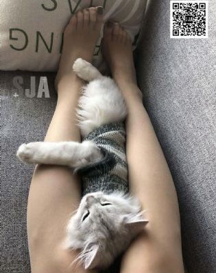 幂幂13分20秒未删减版链接
