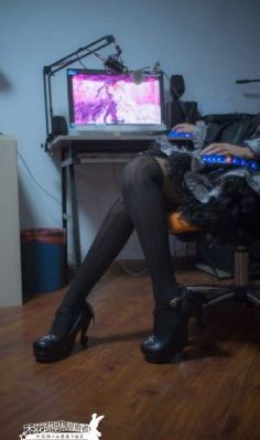 西行纪年番全集免费观看完整版