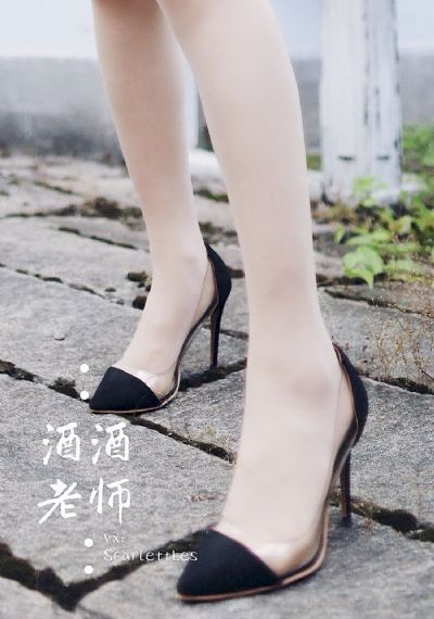 猎豺狼电视剧全集