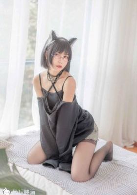 警花与警犬第二季在线观看